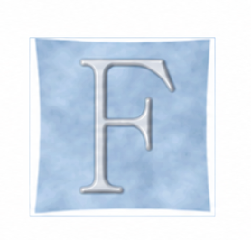 Logo FAHN & Partner Wirtschaftsprüfer Steuerberater München mbB